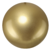 54. Gold Effect (GLOSSY POWDER)